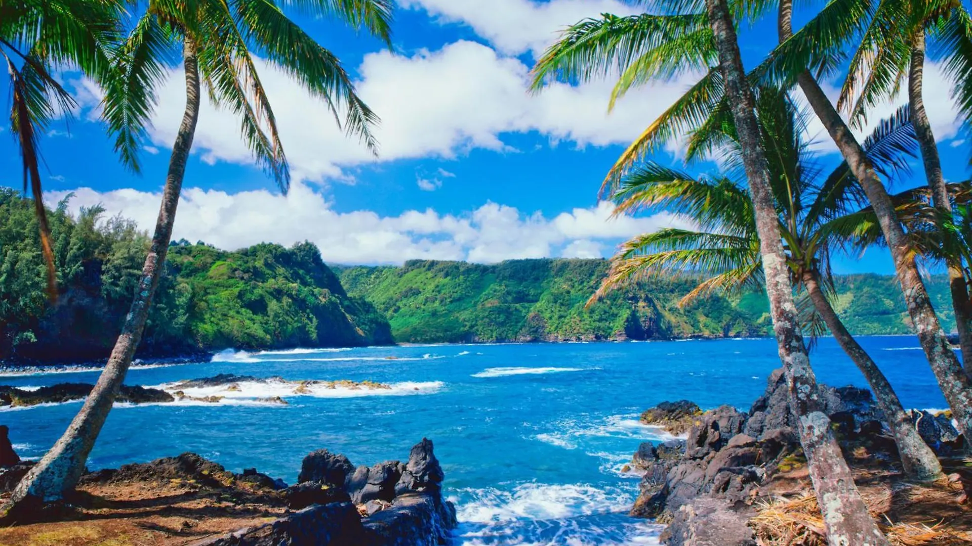 Appartement Remodeled 1Br At Kihei Ali'I Kai With Free Parking!